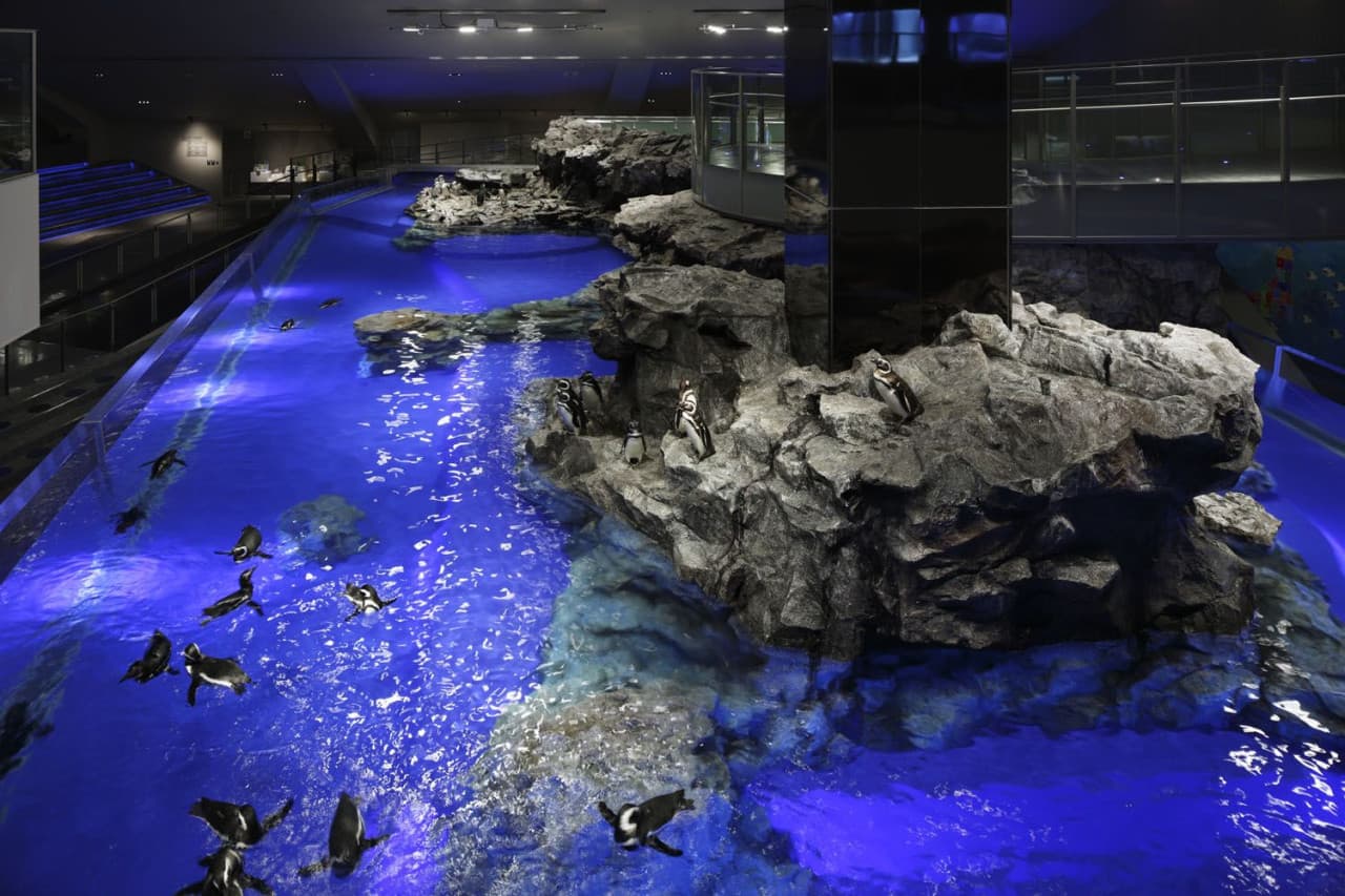Sumida Aquarium Ticket - image 10