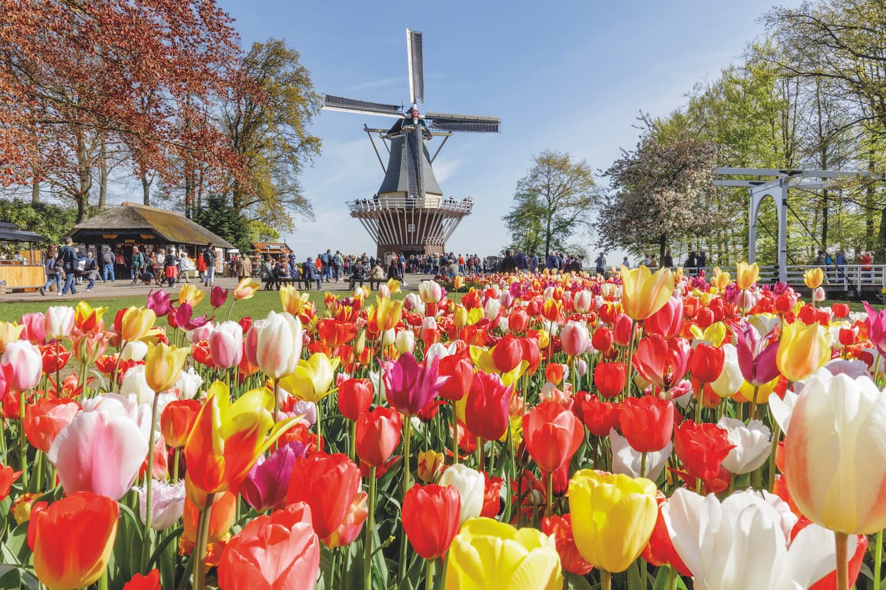 Go City Amsterdam Explorer Pass: Save up to 50% on Attractions - image 29