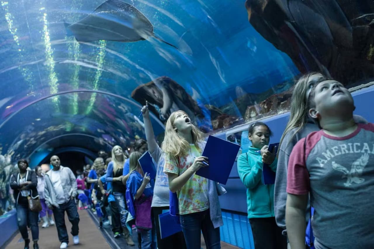 Georgia Aquarium: Fast Track Ticket - imagen 3