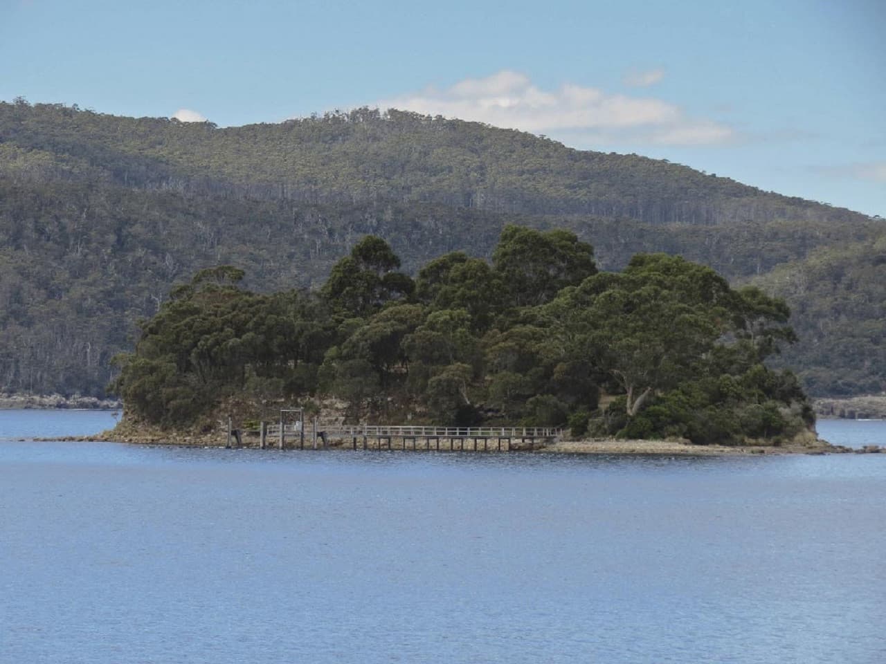Full Day Port Arthur Tour - image 6