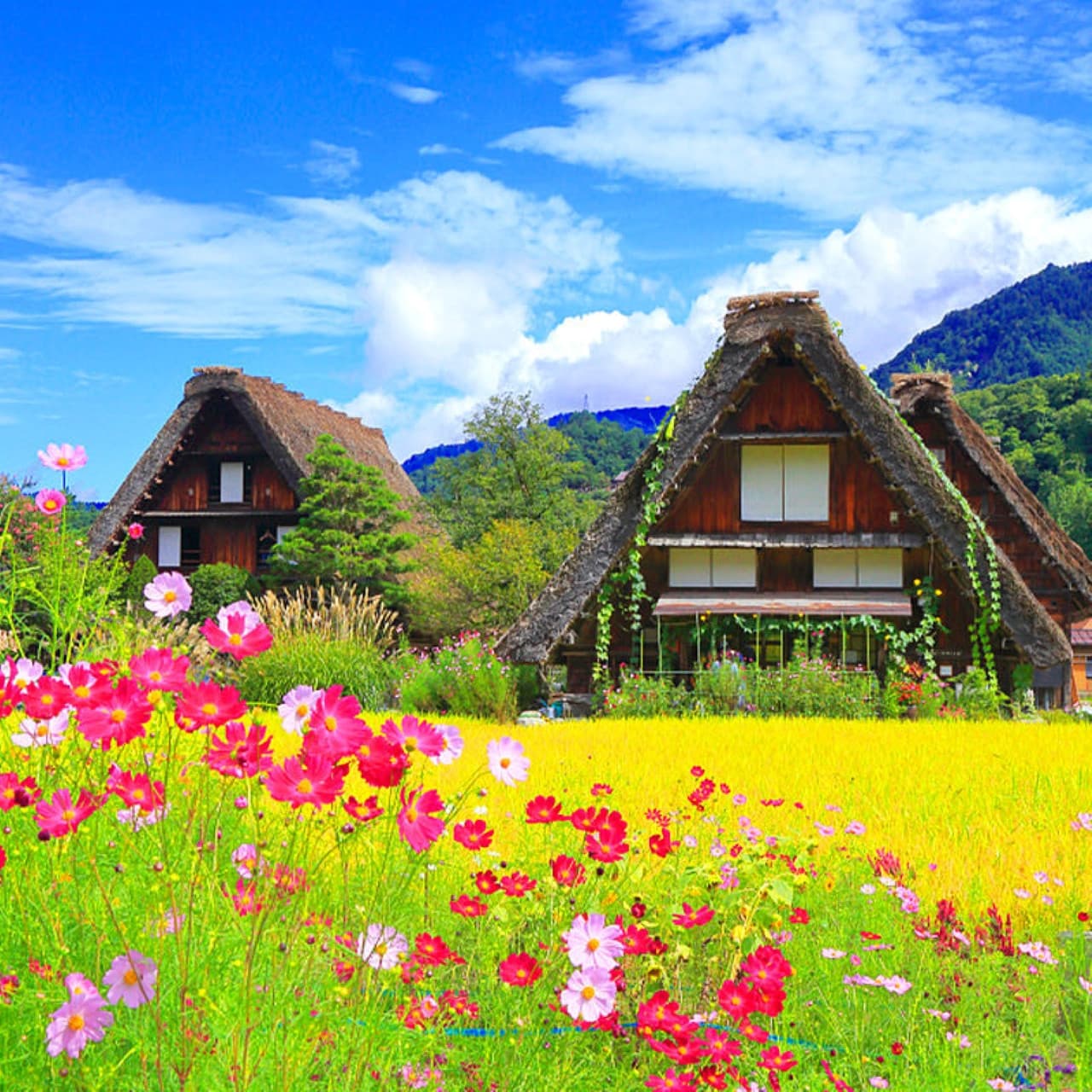 Takayama City and Shirakawa Gassho Village Full-Day Tour from Nagoya - image 2