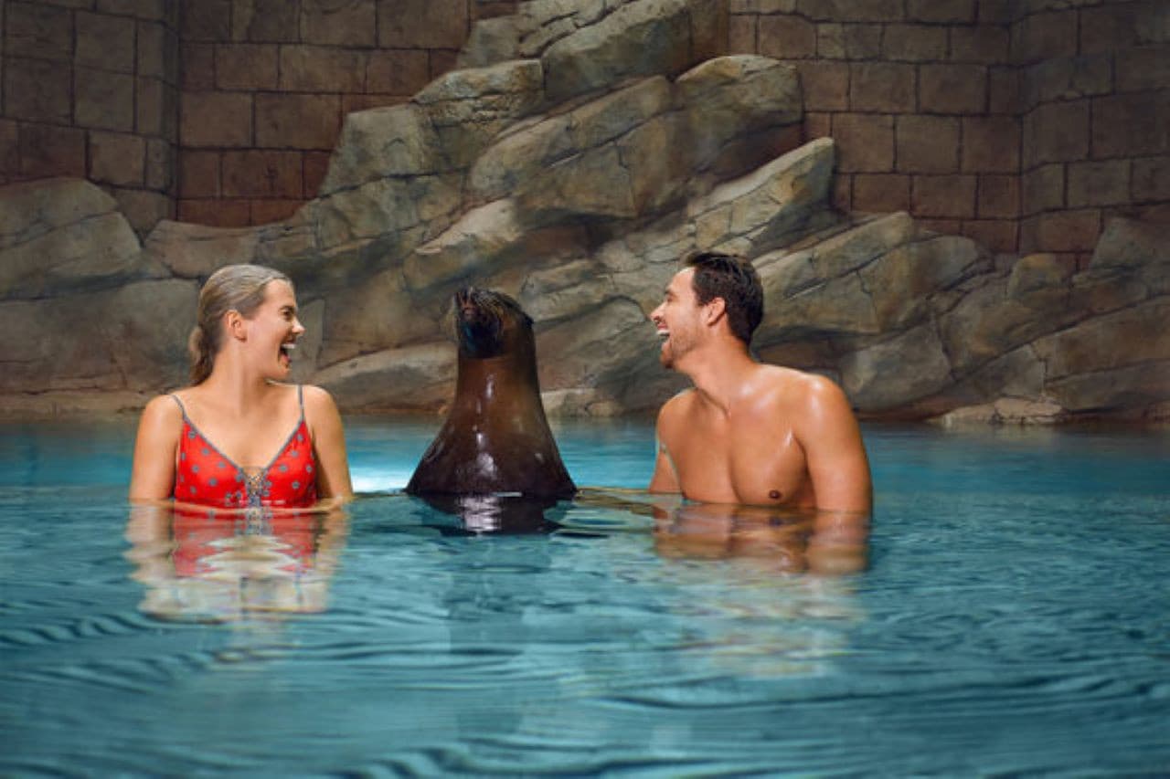 Atlantis Aquaventure World Dubai - Dolphin and Sea Lion Experiences at Atlas Village - image 4