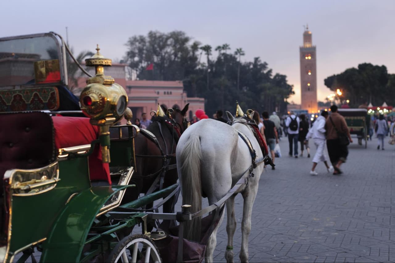 Marrakech Tour: Koutoubia Mosque, El Bahia Palace, Menara Gardens, Djemaa El Fna Square - imagen 5