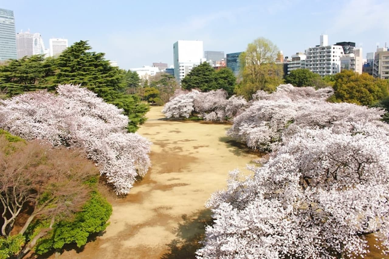 Shinjuku Gyoen National Garden Ticket - main image