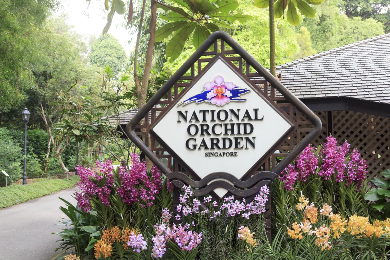 COMBO: Gardens by the Bay + National Orchid Garden Ticket - image 6