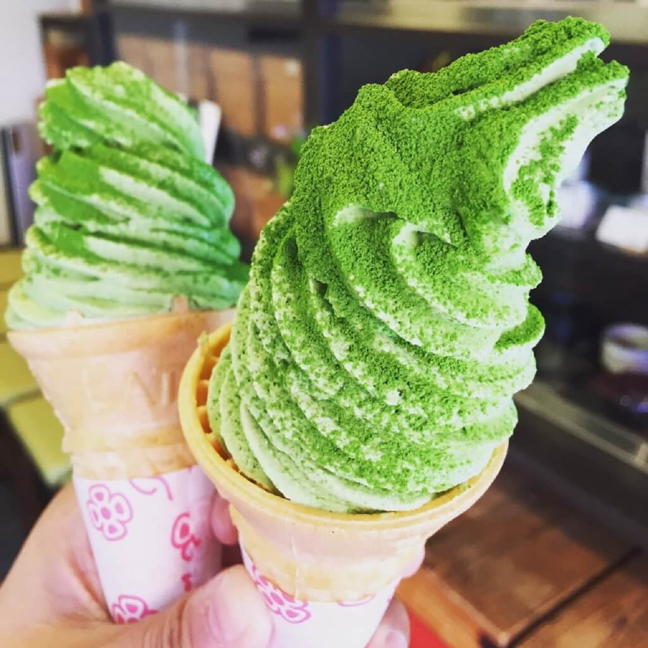 Tokyo Family Food Tour in Asakusa and Sensoji - image 6