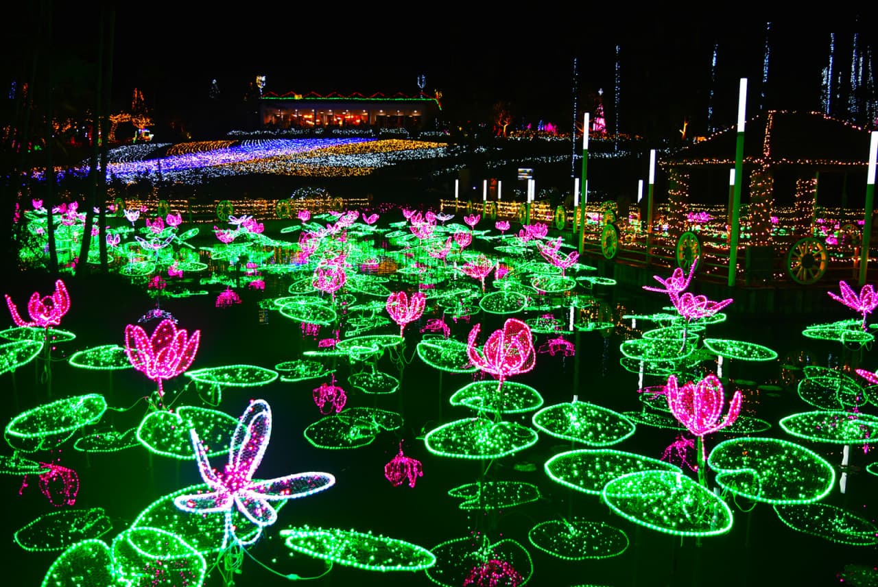 Okinawa Southeast Botanical Gardens - image 16