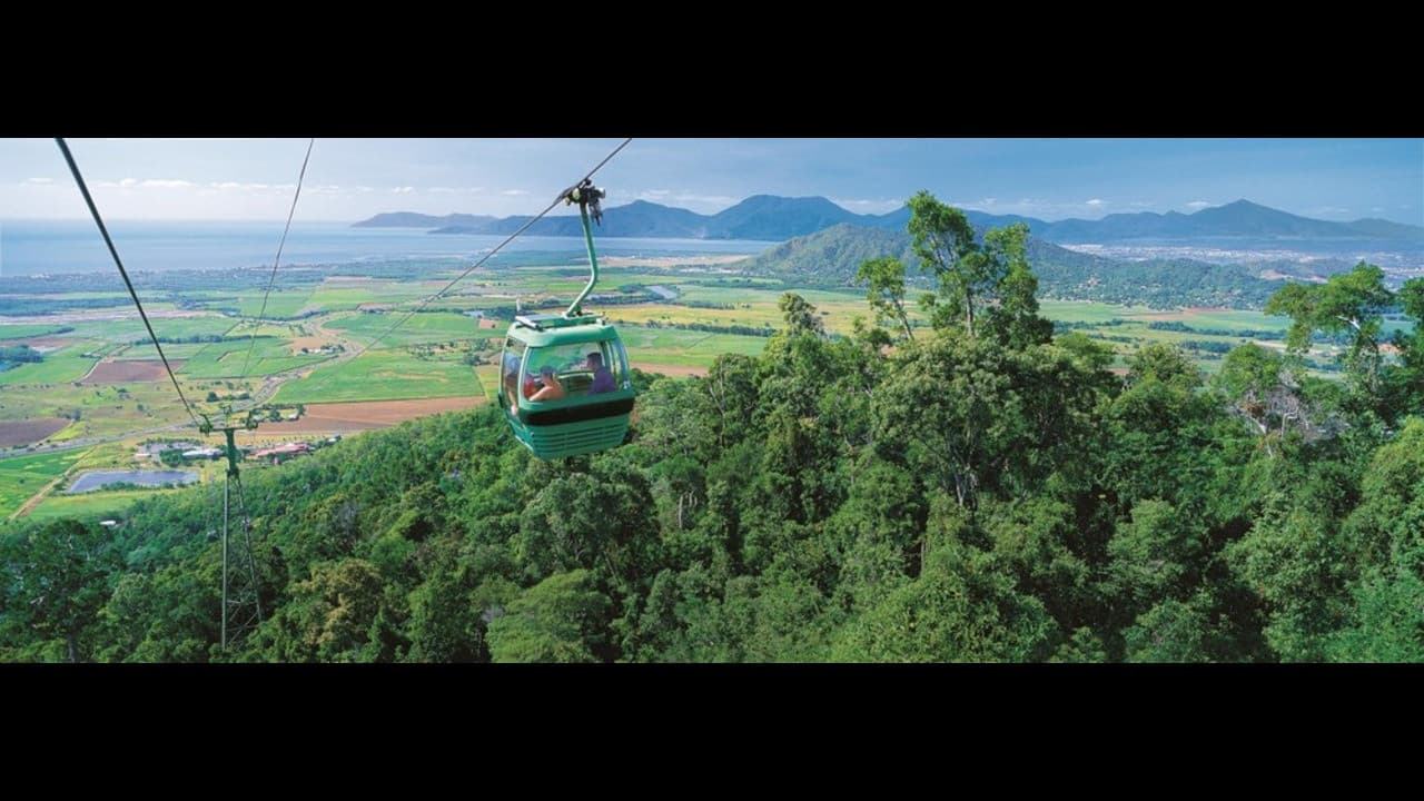 Hartley's Crocodile Adventures and Kuranda Tour from Port Douglas - image 4