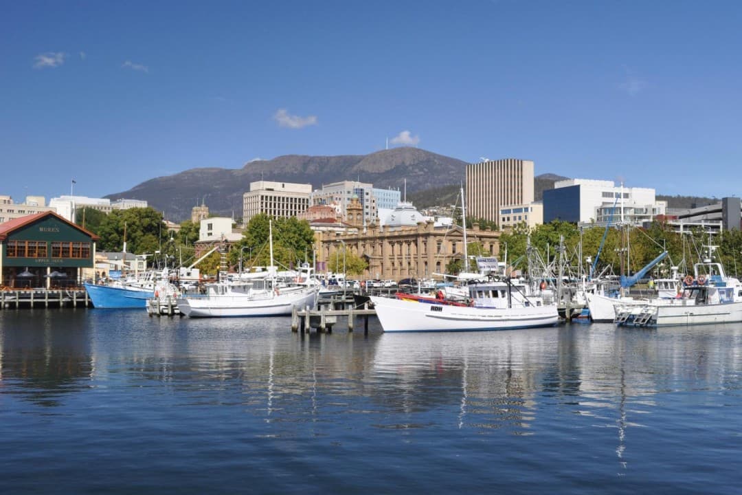 Mount Wellington and Hobart City Tour - image 6