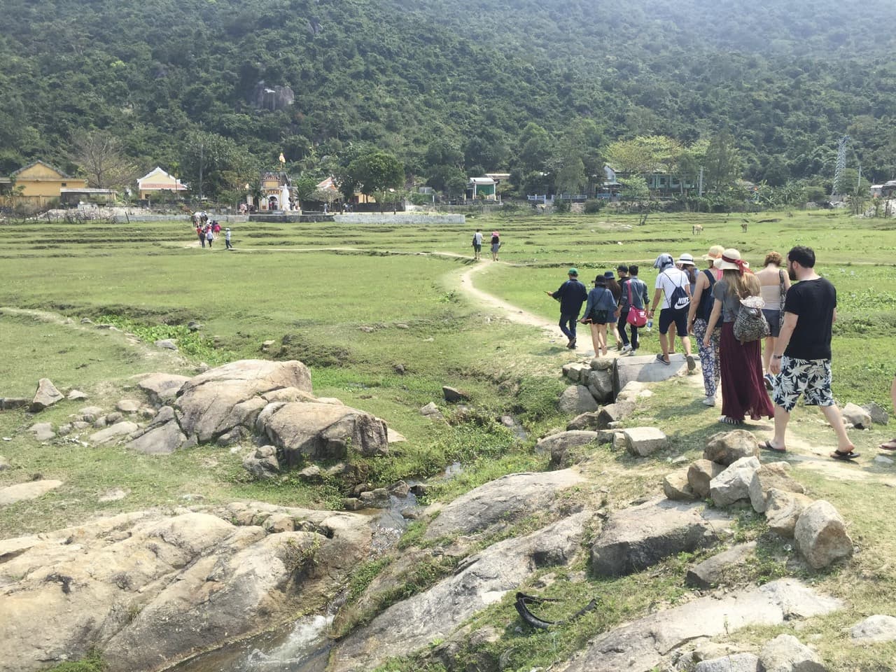 Cham Island Tour from Da Nang - image 4
