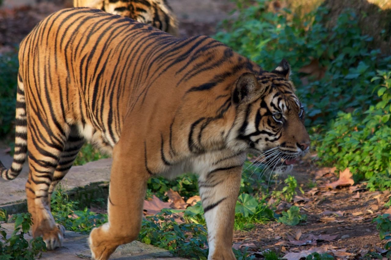 Barcelona Zoo - image 10