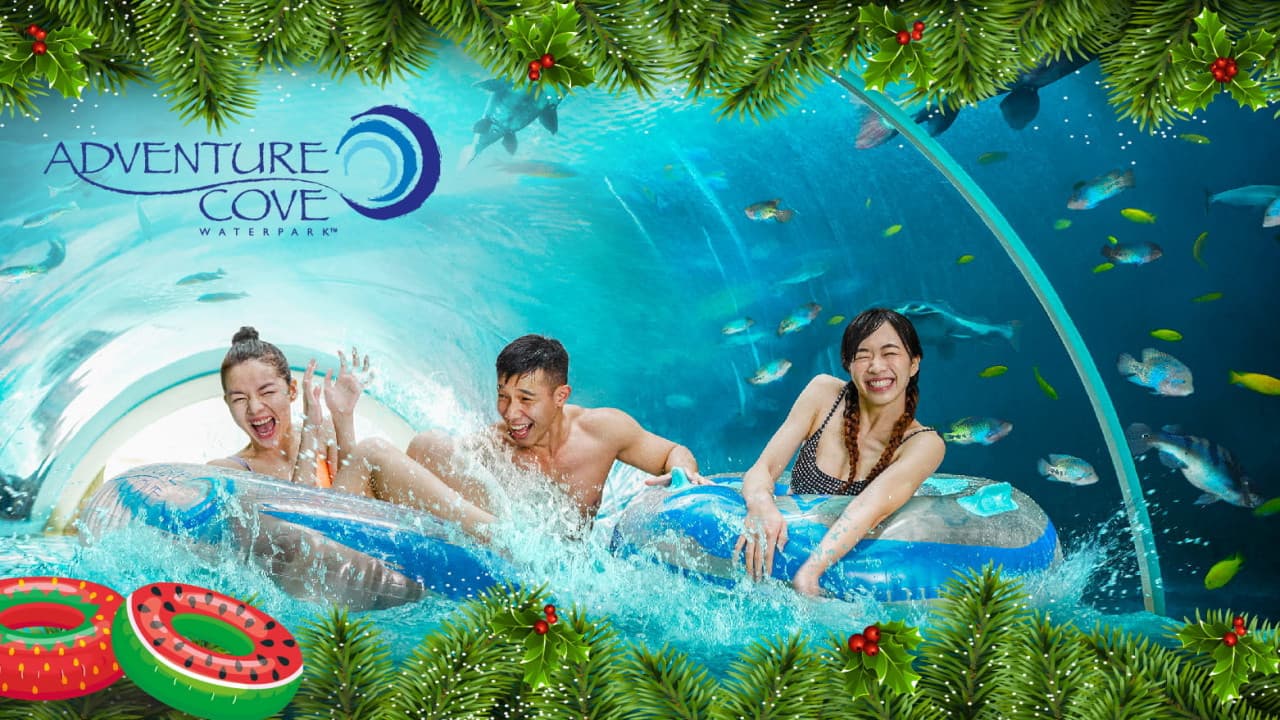 COMBO: Universal Studios Singapore + Adventure Cove Waterpark Tickets - image 6