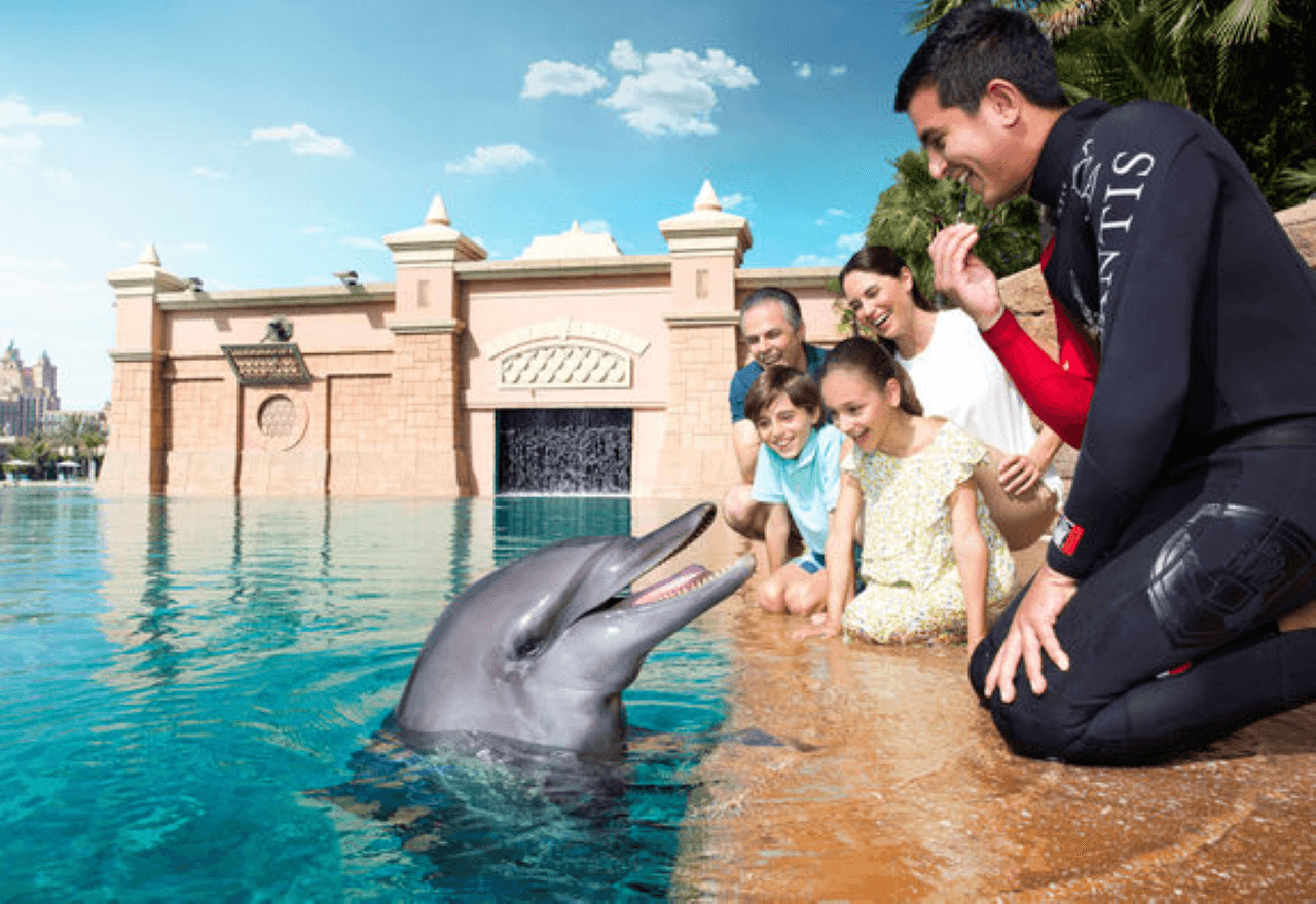 Atlantis Aquaventure World Dubai - Dolphin and Sea Lion Experiences at Atlas Village - image 2