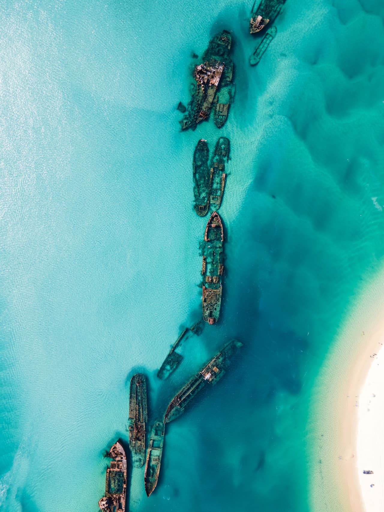Moreton Island 1-Day Adventure Tour with Kayaking and Sandboarding - image 5