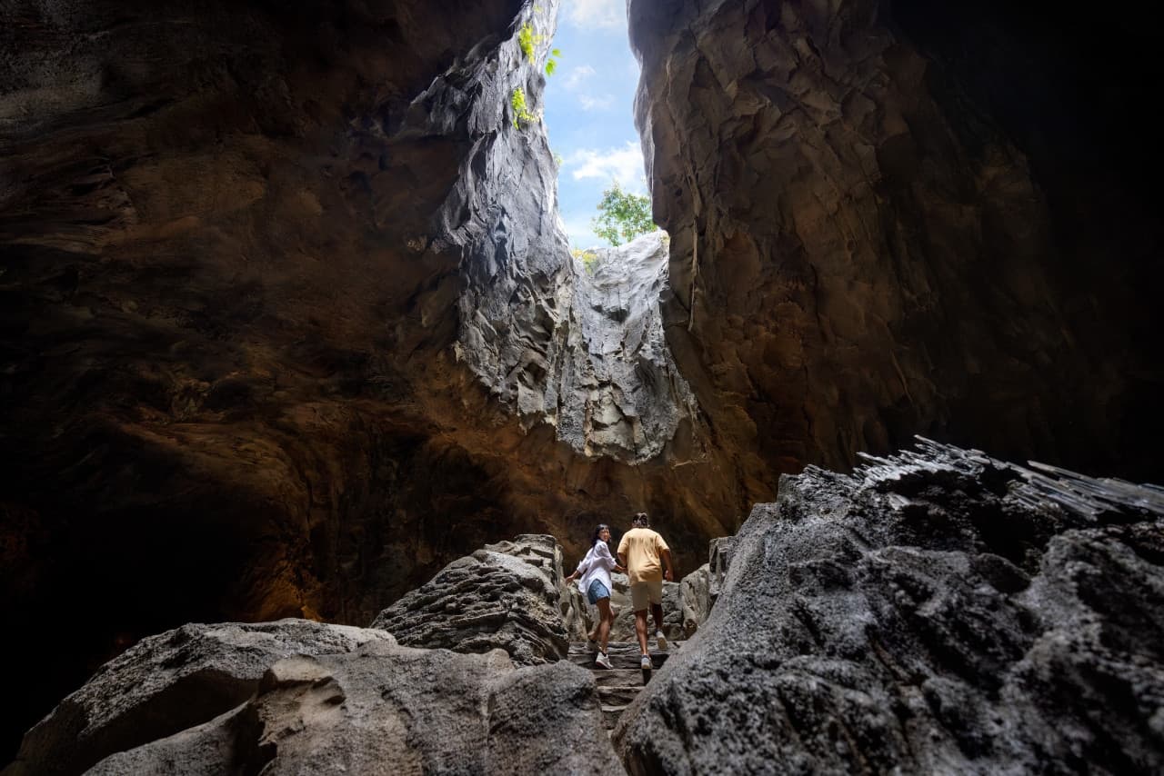 Rainforest Wild Adventure Ticket - image 5