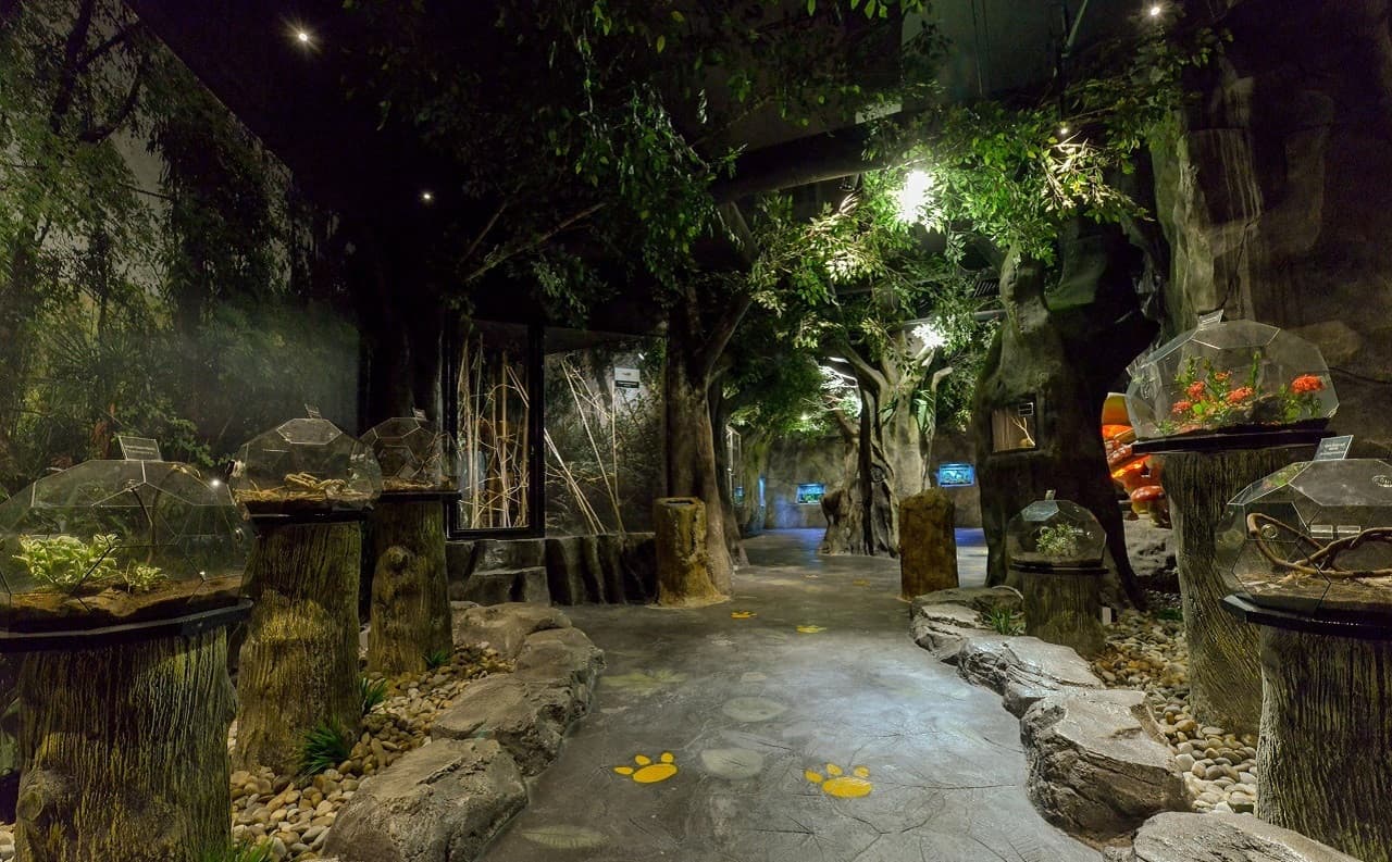 Entopia by Penang Butterfly Farm Ticket - image 9