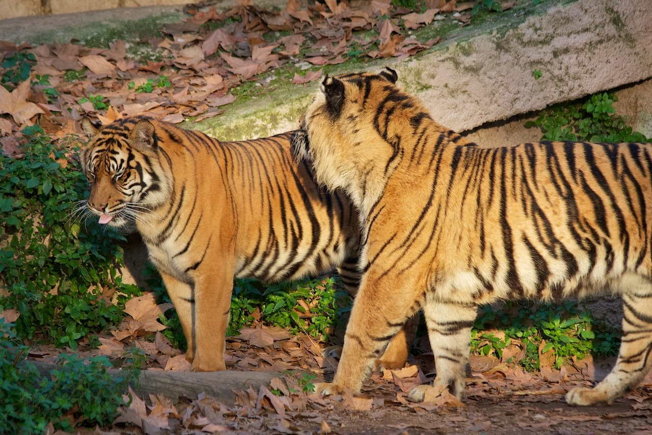 Barcelona Zoo - image 11
