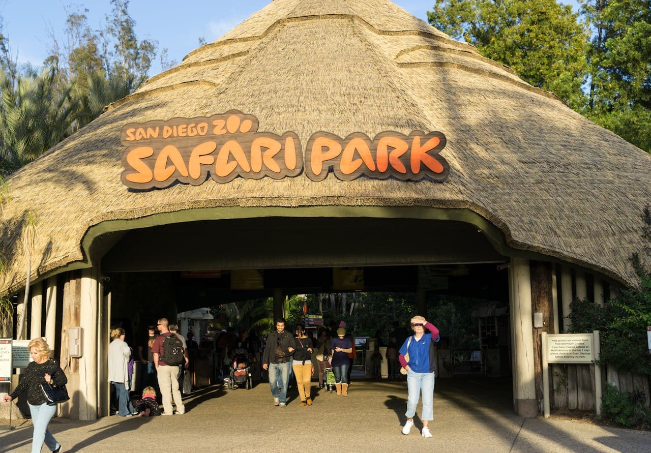 San Diego Zoo Safari Park Ticket - image 8