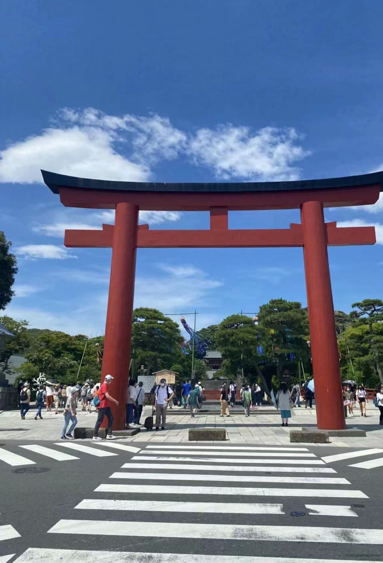 Kotoku-in Temple and Enoshima Day Tour from Tokyo - image 4