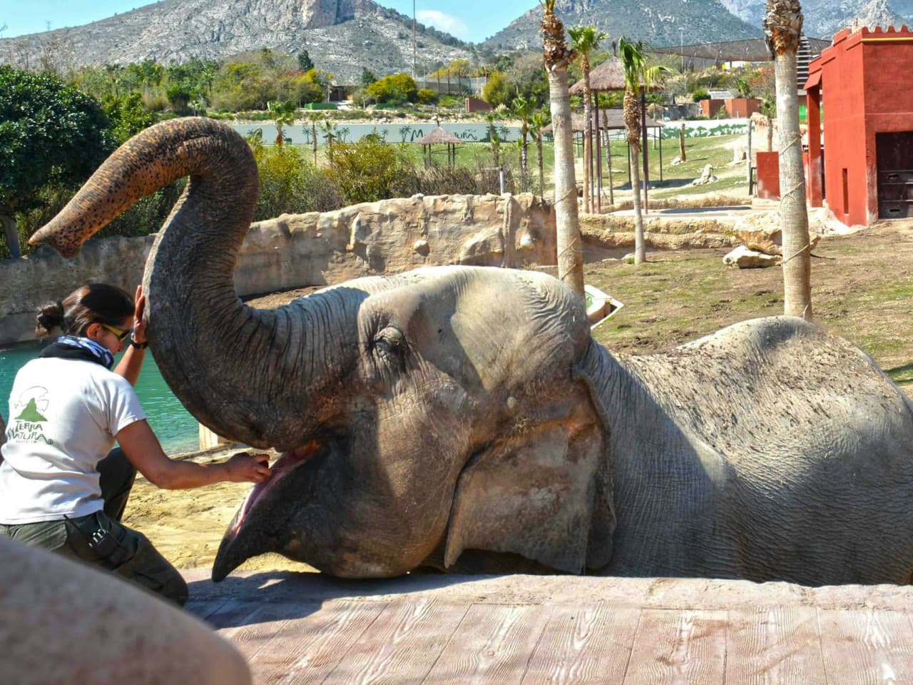 Terra Natura Benidorm: Entry Ticket - image 2