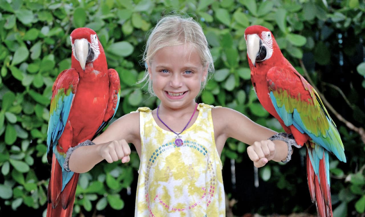 Go City Miami All-Inclusive Pass: Save up to 50% on Attractions - image 28