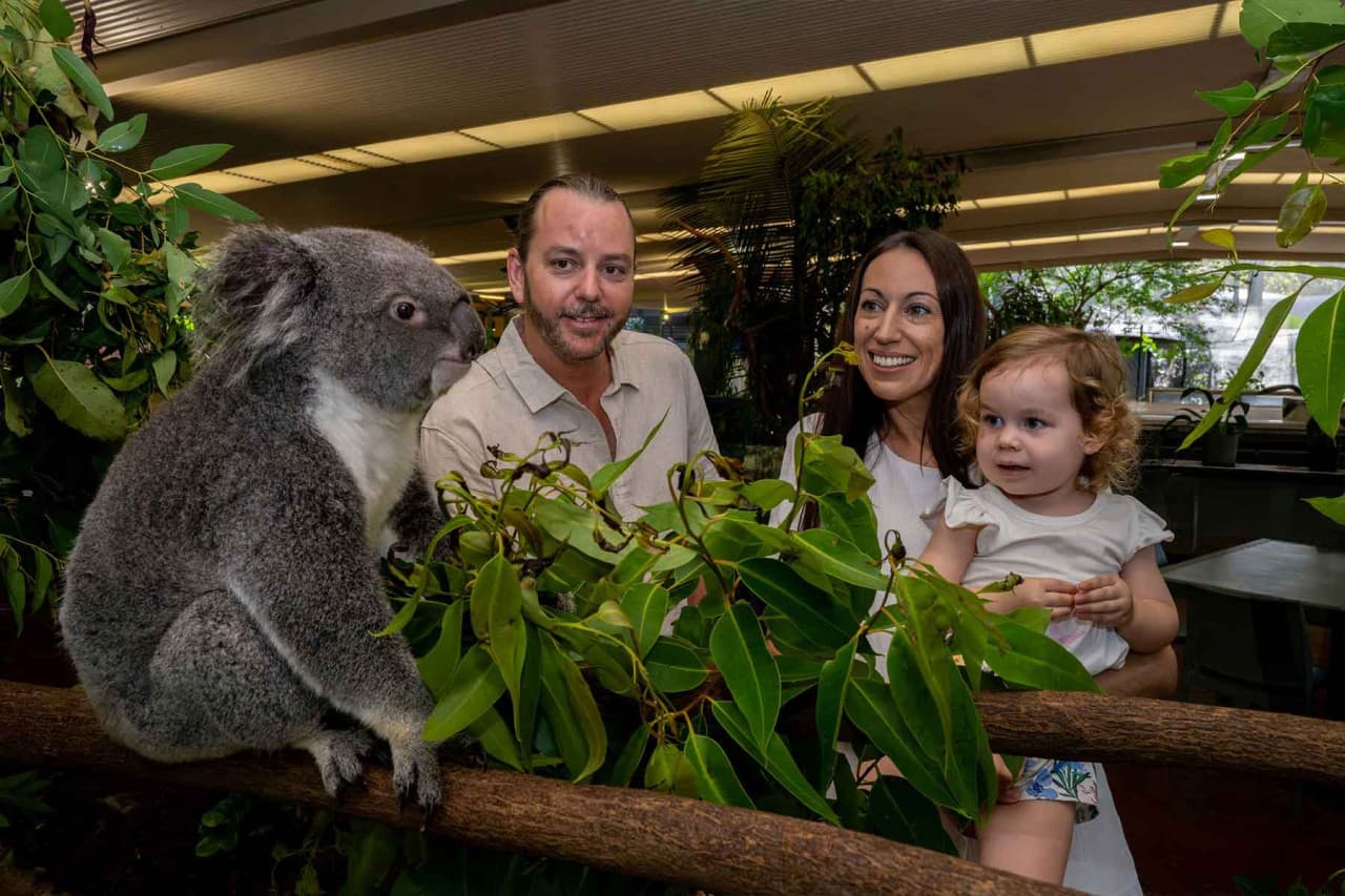 Wildlife Habitat Port Douglas Ticket - main image
