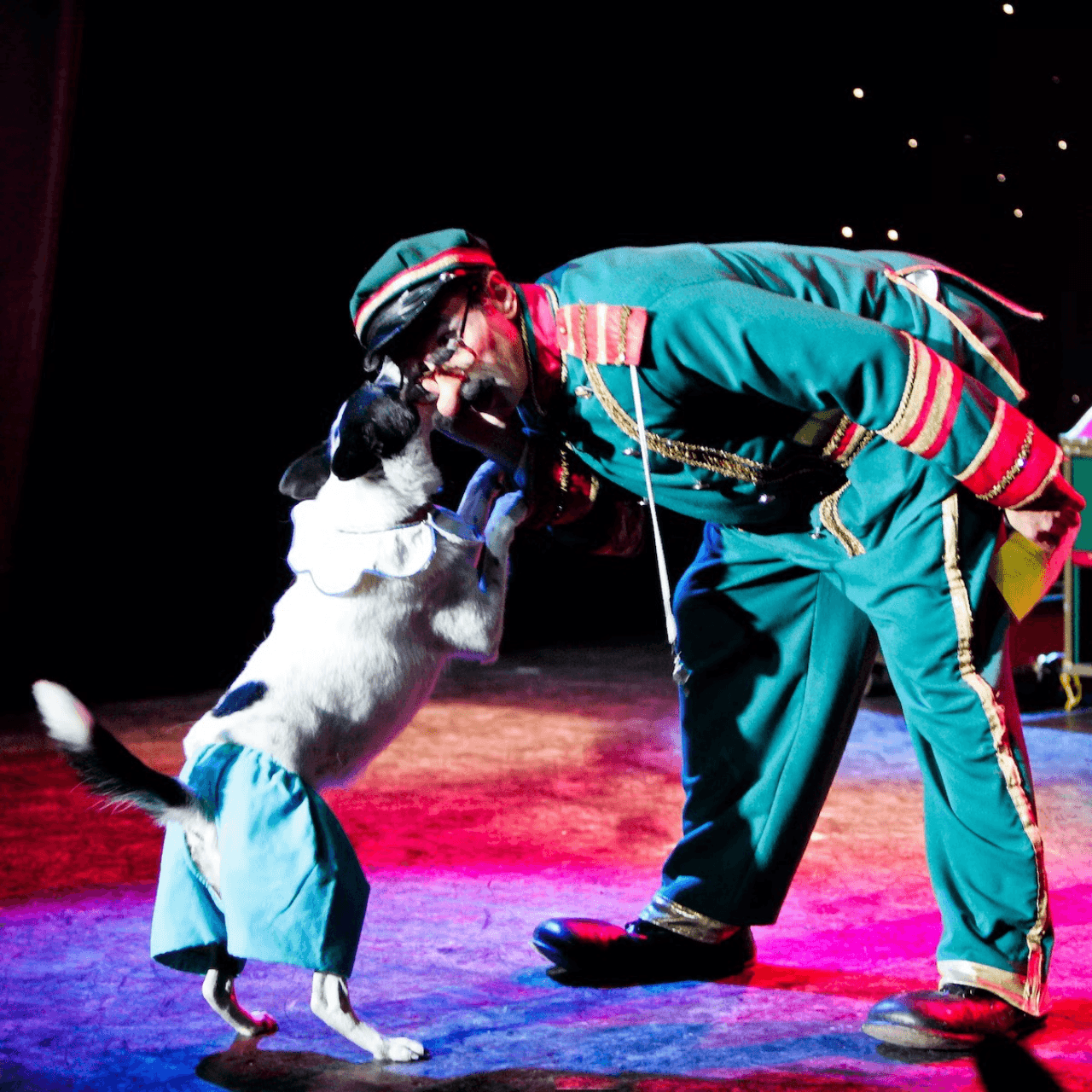 V Theatre Las Vegas - Popovich Comedy Pet Theatre - imagen 2