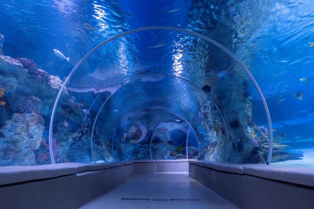 Emaar Aquarium and Underwater Zoo Ticket - image 5