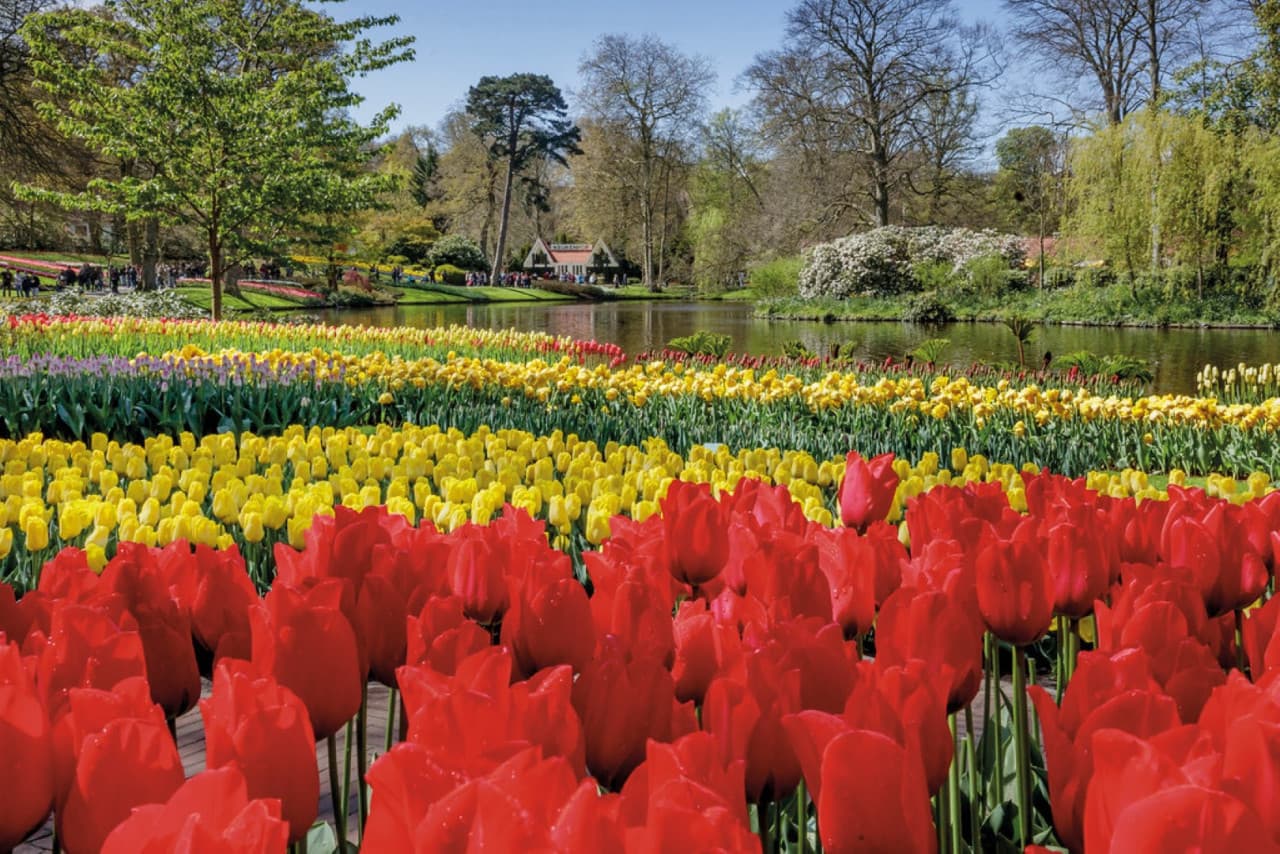 Keukenhof Gardens Ticket with Round Trip Bus Transfer from Amsterdam - imagen 8