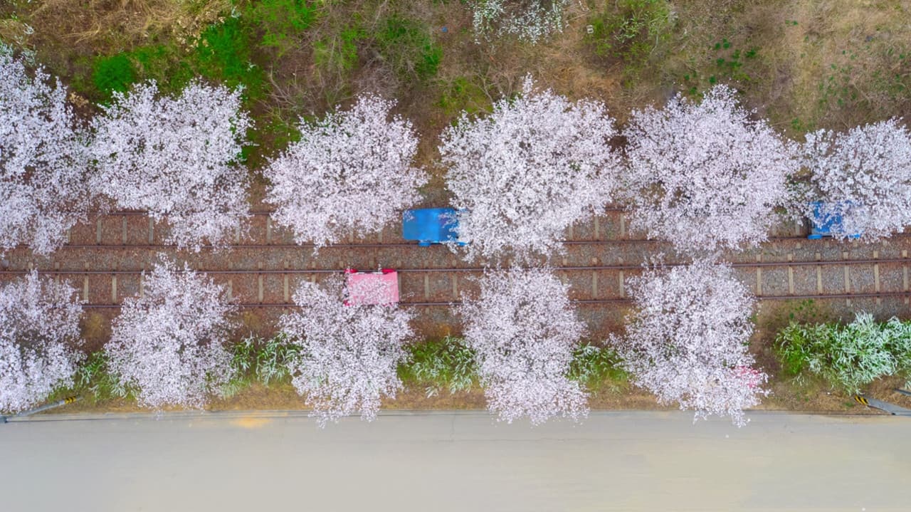 Nami Island, Mount Seorak, and Garden of Morning Calm Full-Day Tour from Seoul - image 25