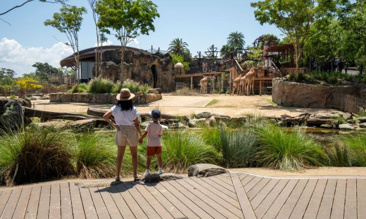 Taronga Zoo Ticket with Optional Round Trip Ferry - image 7