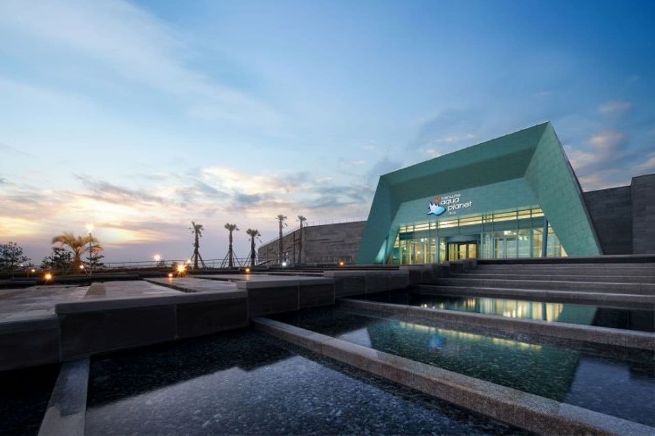 Entrada para el acuario Aqua Planet Jeju - imagen 18