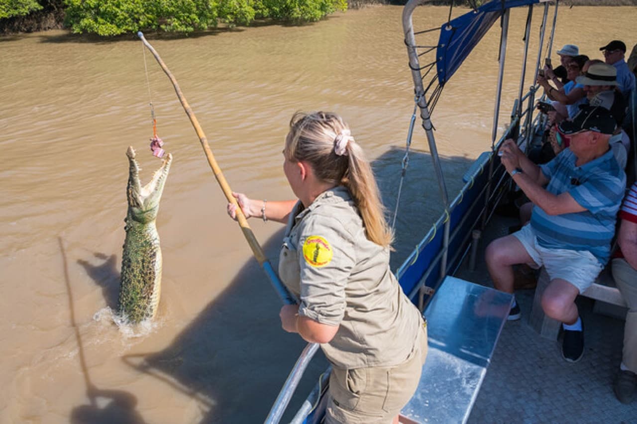 Spectacular Jumping Crocodile Cruise - image 4
