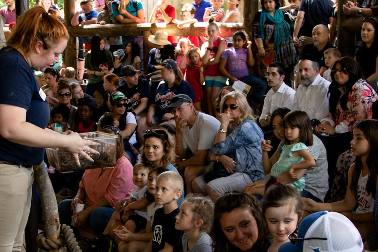 Zoo Atlanta Entry Ticket - image 2
