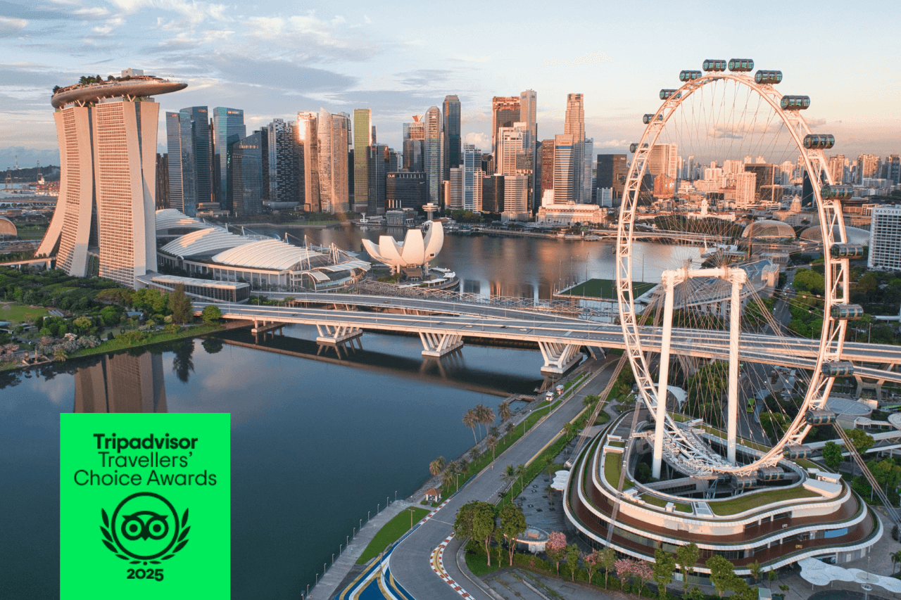 Singapore Flyer Ticket - main image