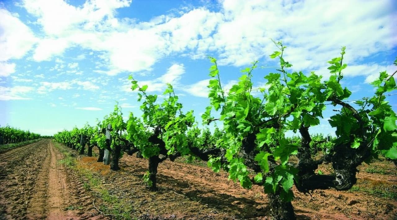 Margaret River Beer Tasting Tour from Perth - image 4