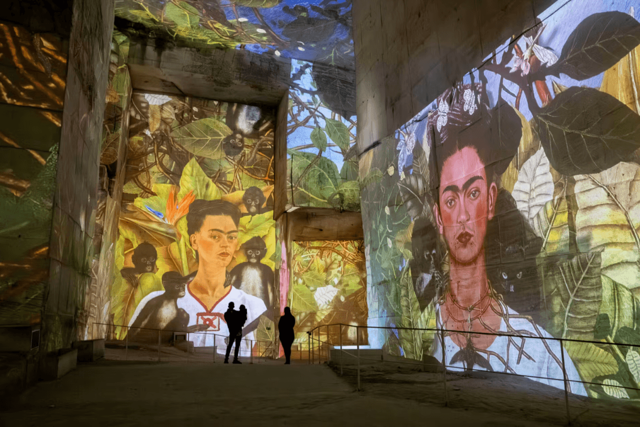 Carrieres des Lumieres: Entry Ticket - image 7