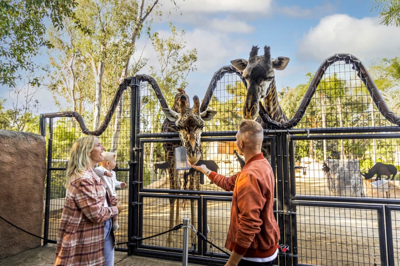 Go City San Diego Essentials Pass: Save up to 50% on Attractions - image 2