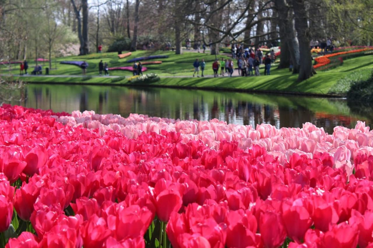 Keukenhof Gardens Ticket with Round Trip Bus Transfer from Amsterdam - image 6