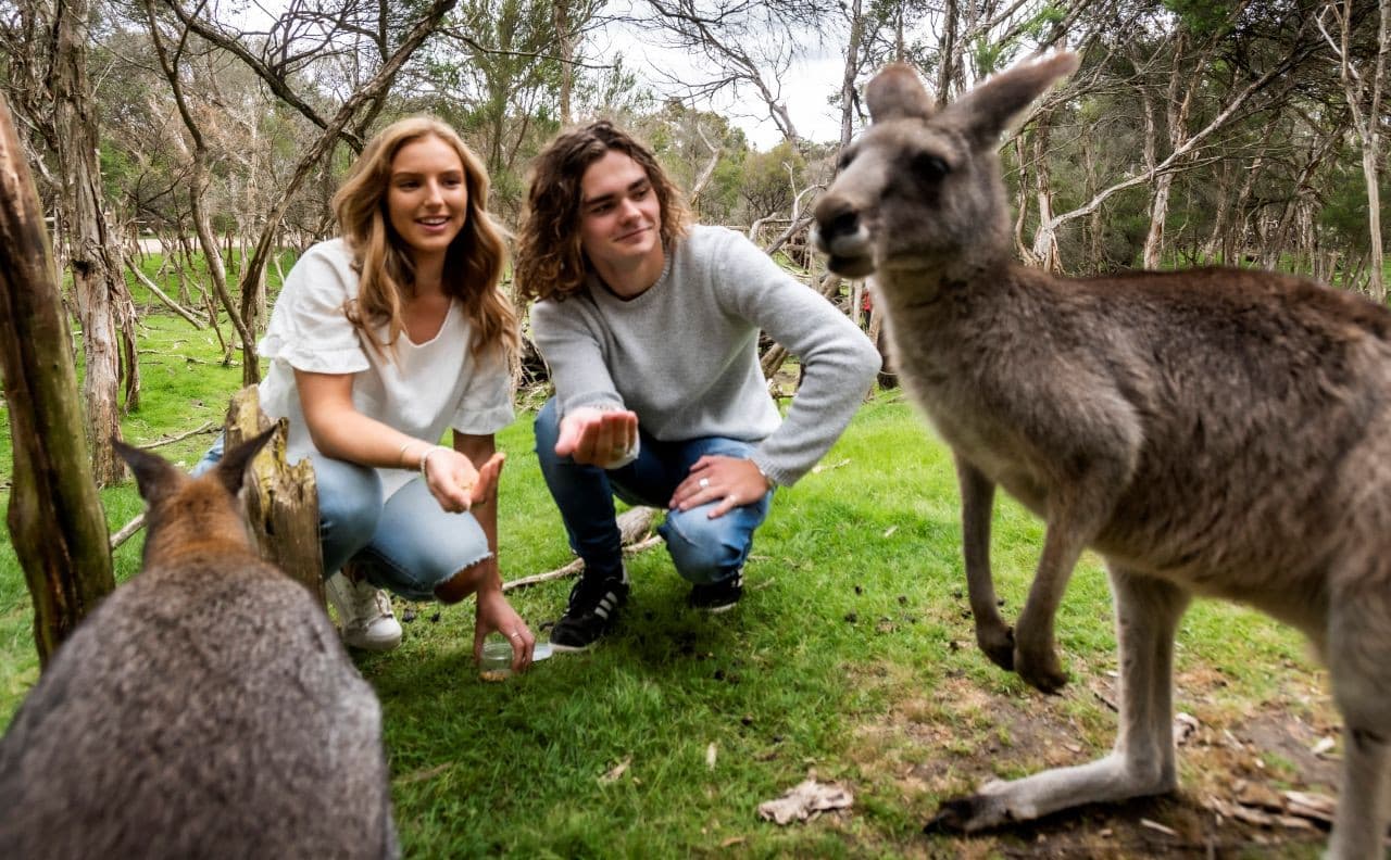 Moonlit Sanctuary Wildlife Conservation Park Ticket - main image