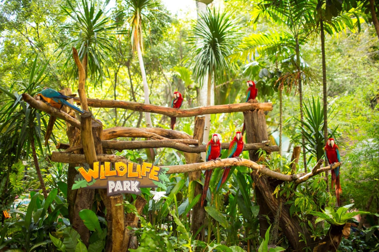 COMBO: Sunway Lagoon Theme Park Ticket + Quack Xpress Pass - image 11