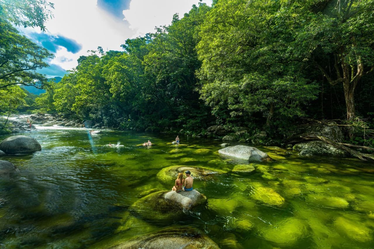 Daintree, Mossman Gorge, and Wildlife Habitat Port Douglas Full-Day Tour - imagen 4