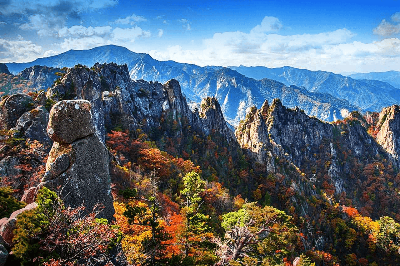 Nami Island and Mount Seorak Full-Day Tour from Seoul - image 3