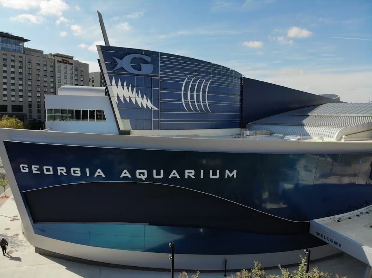 Georgia Aquarium: Fast Track Ticket - imagen 9