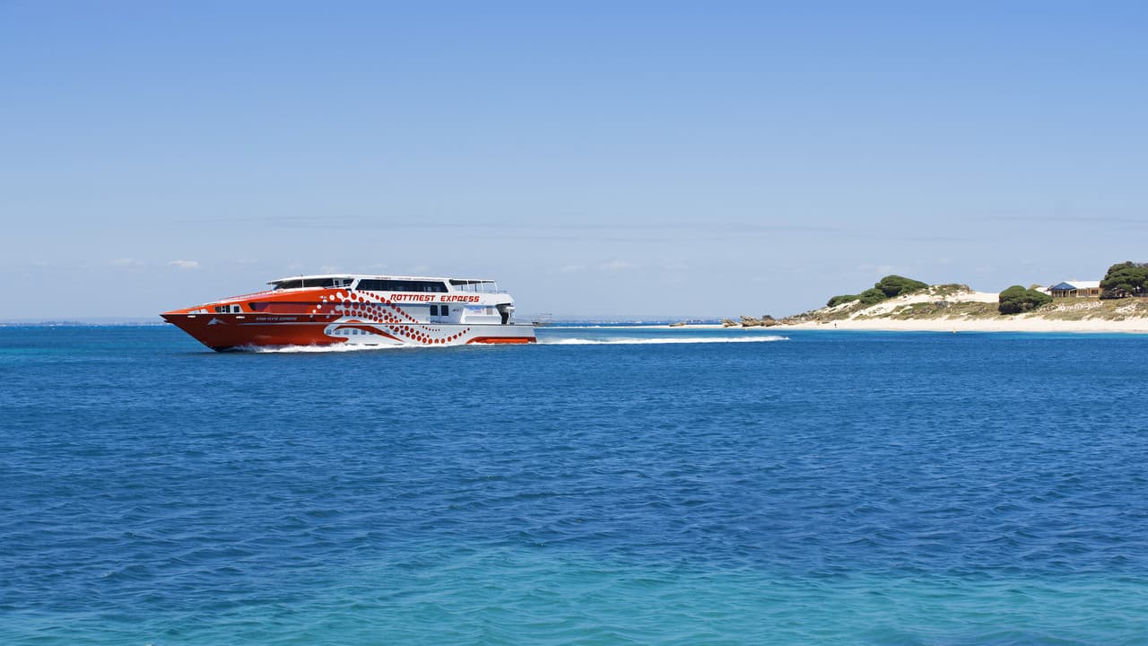 Rottnest Island Bus Tour with Round Trip Rottnest Express Ferry Transfer - image 2