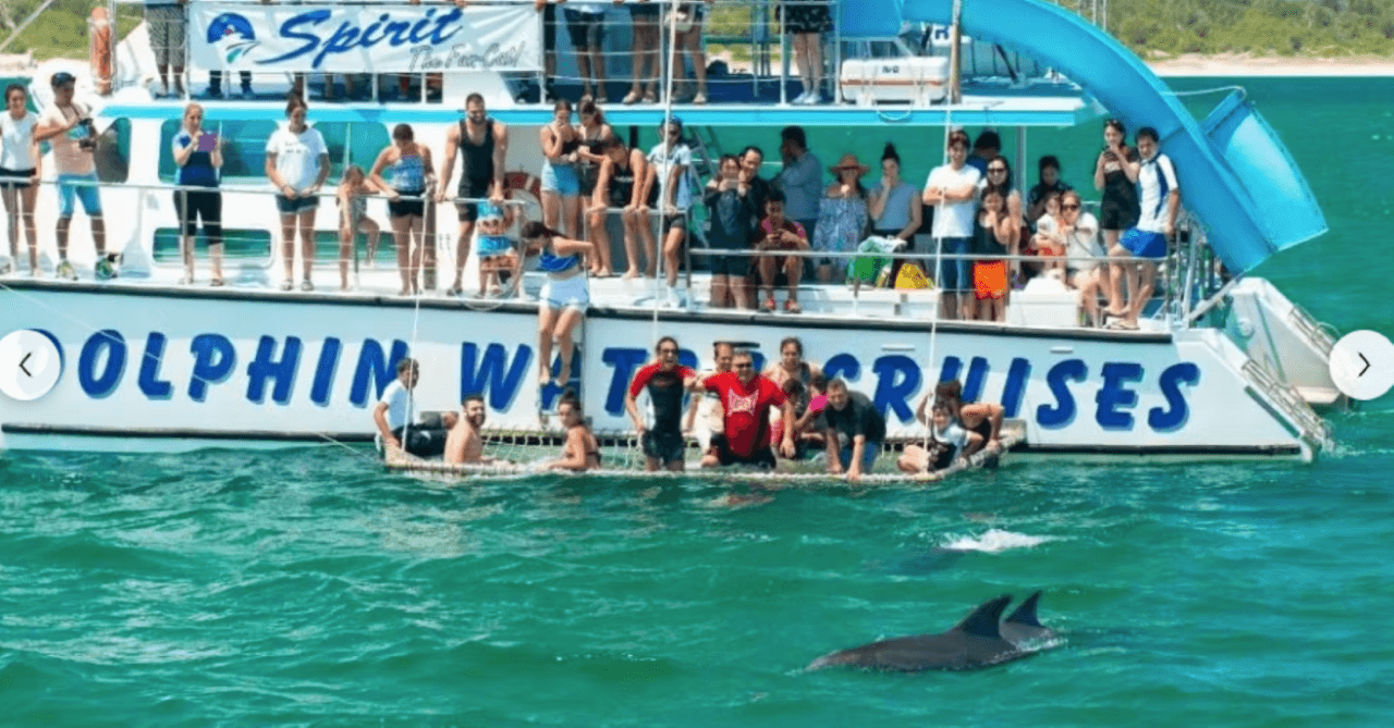 Port Stephens Dolphin Discovery Cruise - main image