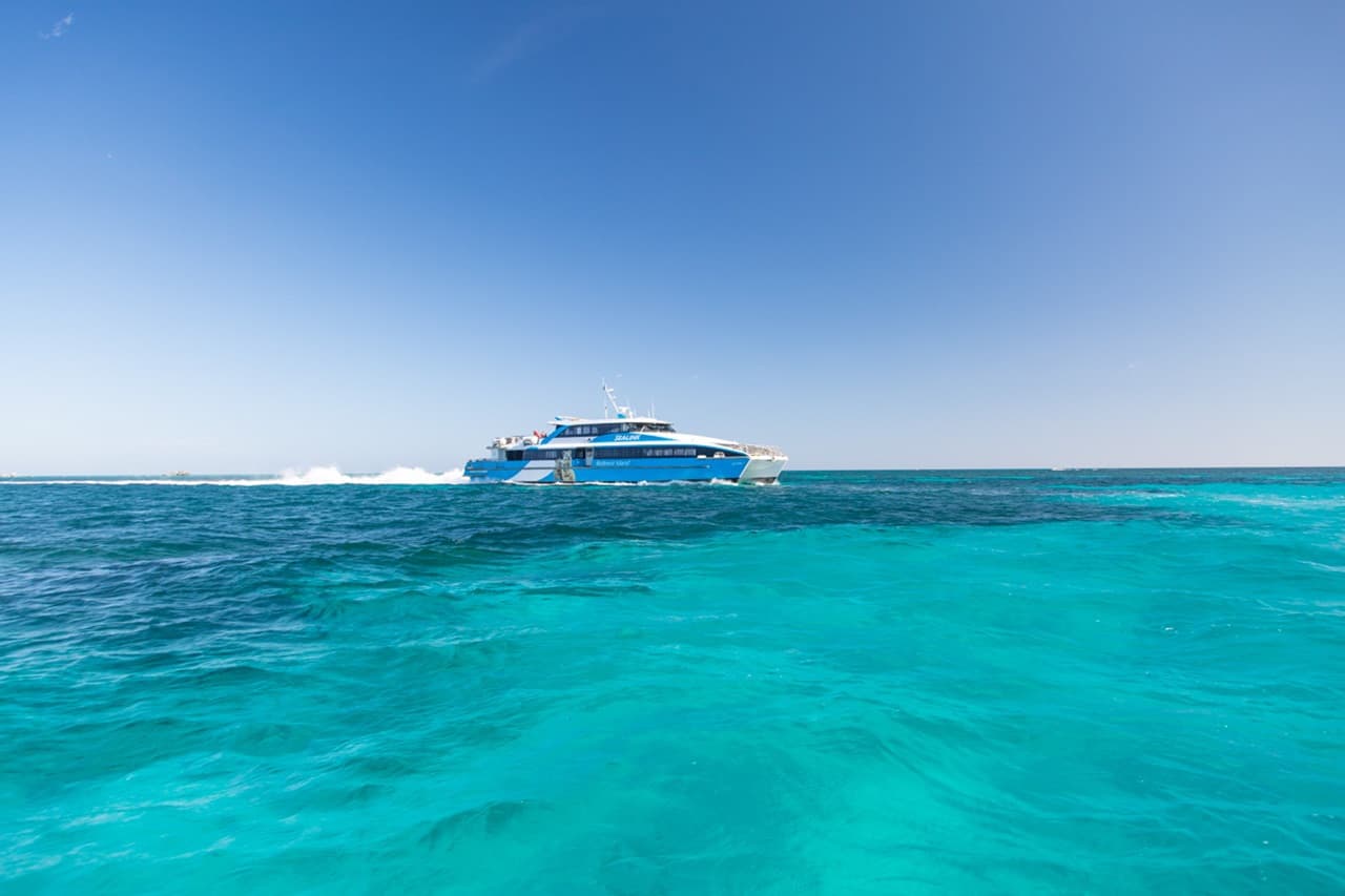 Round Trip SeaLink Ferry Transfer to Rottnest Island with Bike Hire - imagen 12