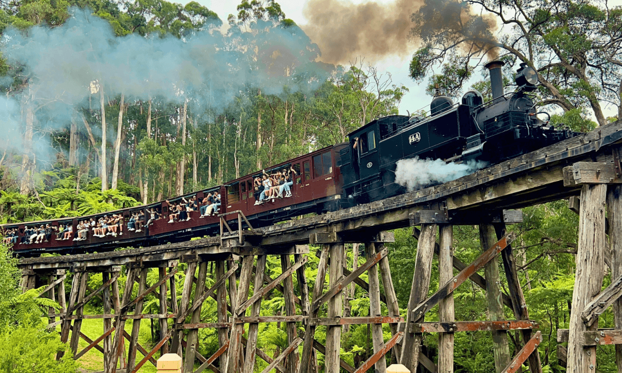 Puffing Billy Steam Train Half-Day Tour - main image