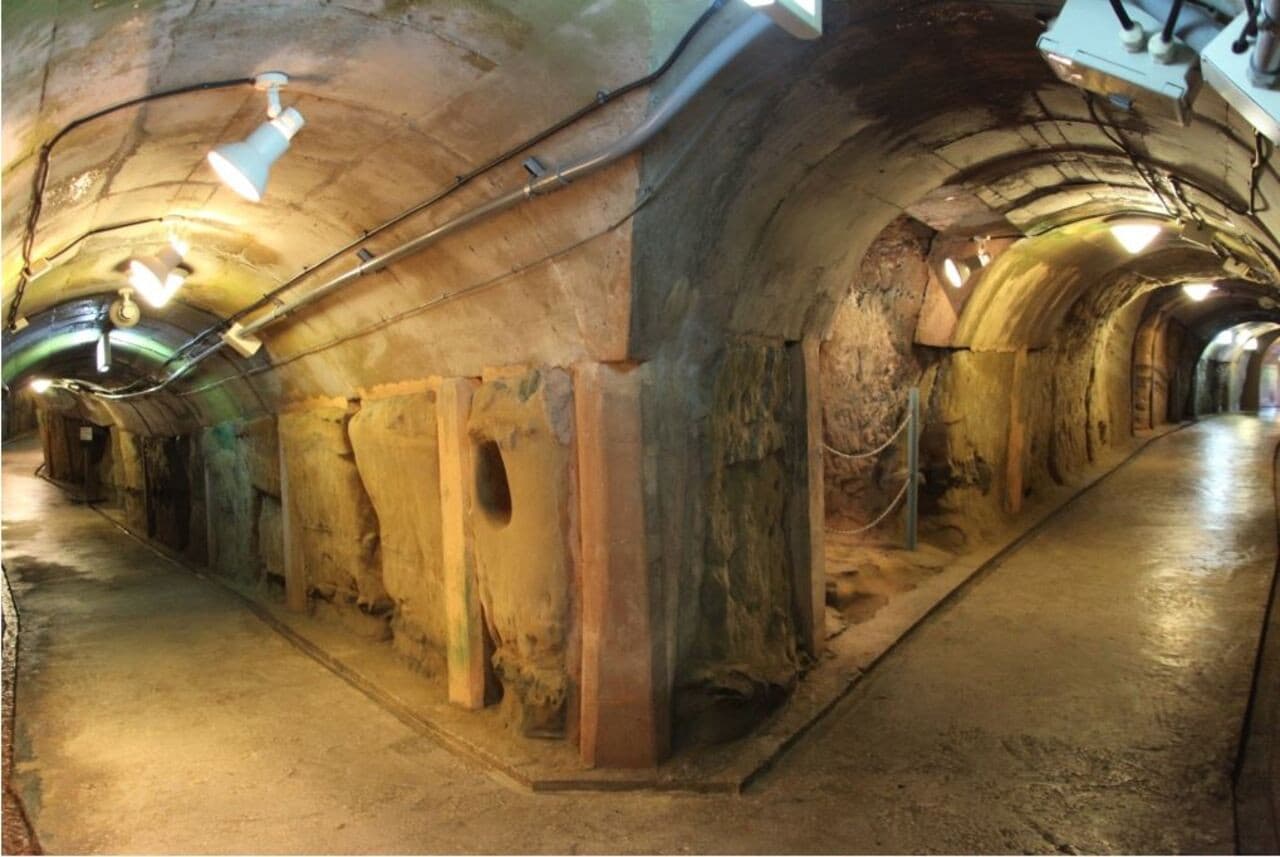 Okinawa Churaumi TokuToku 5 Pass - image 12