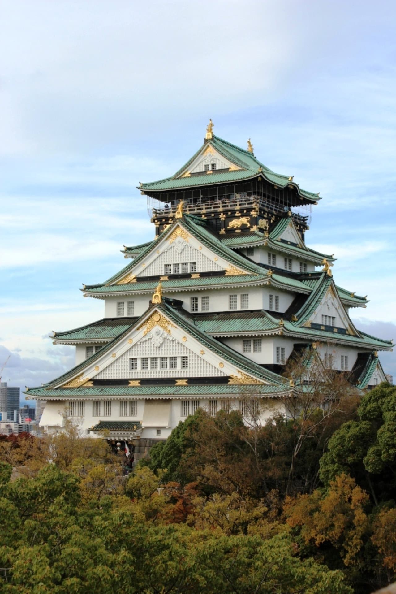 Osaka Castle Ticket - image 2